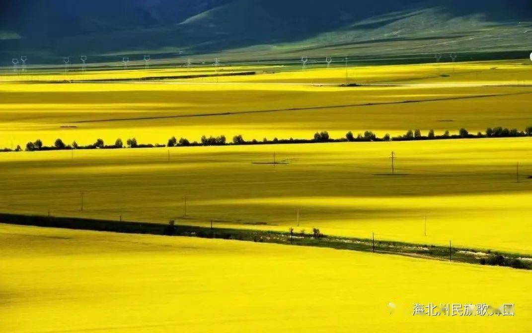 金色大地风景图片图片