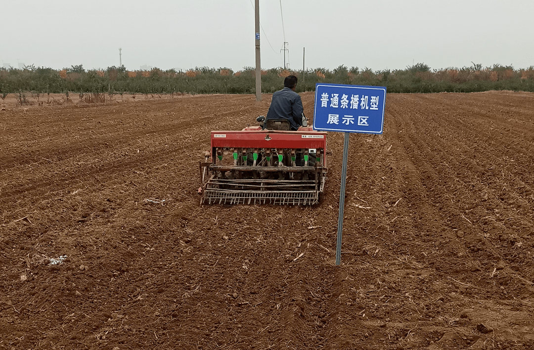 小麦宽幅沟播技术旨在通过狠抓小麦播种阶段的技术集成,切实提高播种