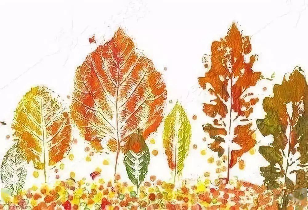 准备材料:画纸,水粉,枫叶,颜料,刷子树叶拓印画3拓硬币勾起了你们的