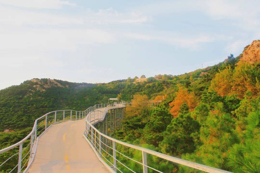 阿掖山风景区电话图片