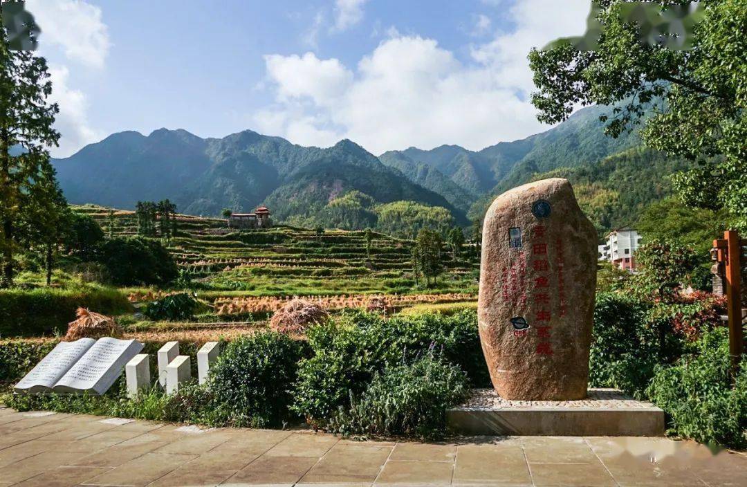 青田:中国田鱼村风貌_稻田_鄱阳_石雕