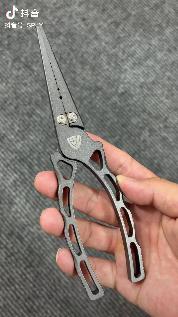 lsp修复工具，修复lsp和host