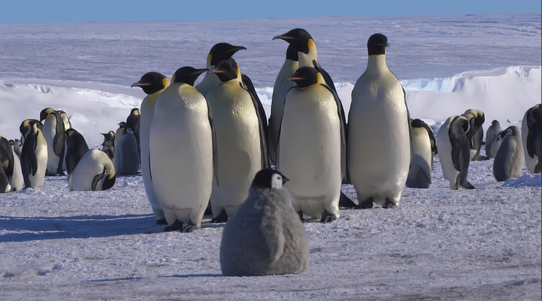 雷鸟 Air 1S 体验评测:不仅仅是懒人神器,更是全场景的随身「巨幕」