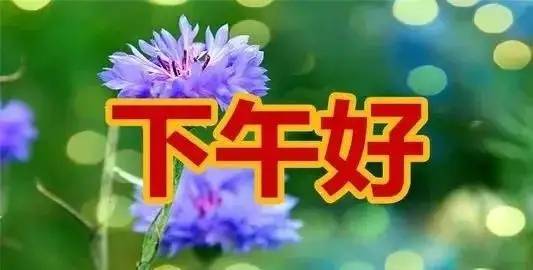 下午问候祝福短信