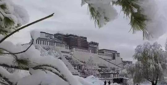 上海下雪了！但是你必然没见过西藏那么美得雪