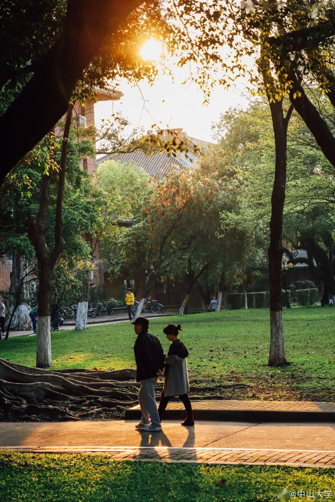 藏进叶子里秋香色慢慢地透过了阳光里悄悄的混合调色盘姗姗来迟的它不