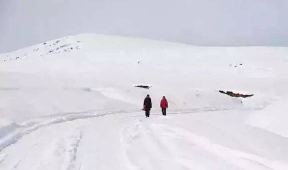 上海下雪了！但是你必然没见过西藏那么美得雪