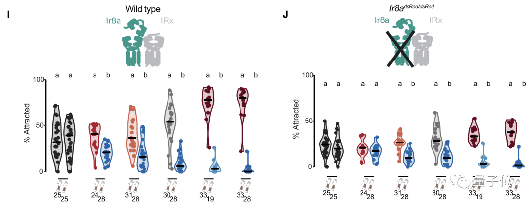 蚊子凭啥只咬你？Cell：都怪皮肤排泄的羧酸太“诱蚊”