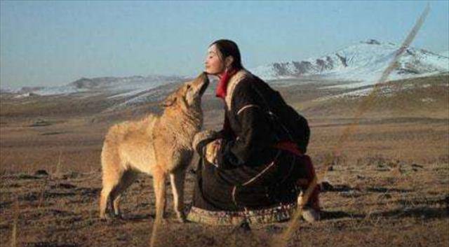 2010年，把狼当“儿子”养的四川女孩，10年后再度重逢却不敢相认_李微漪_格林_食草动物