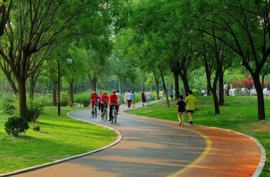 5公里的健康步道开展晨跑活动.