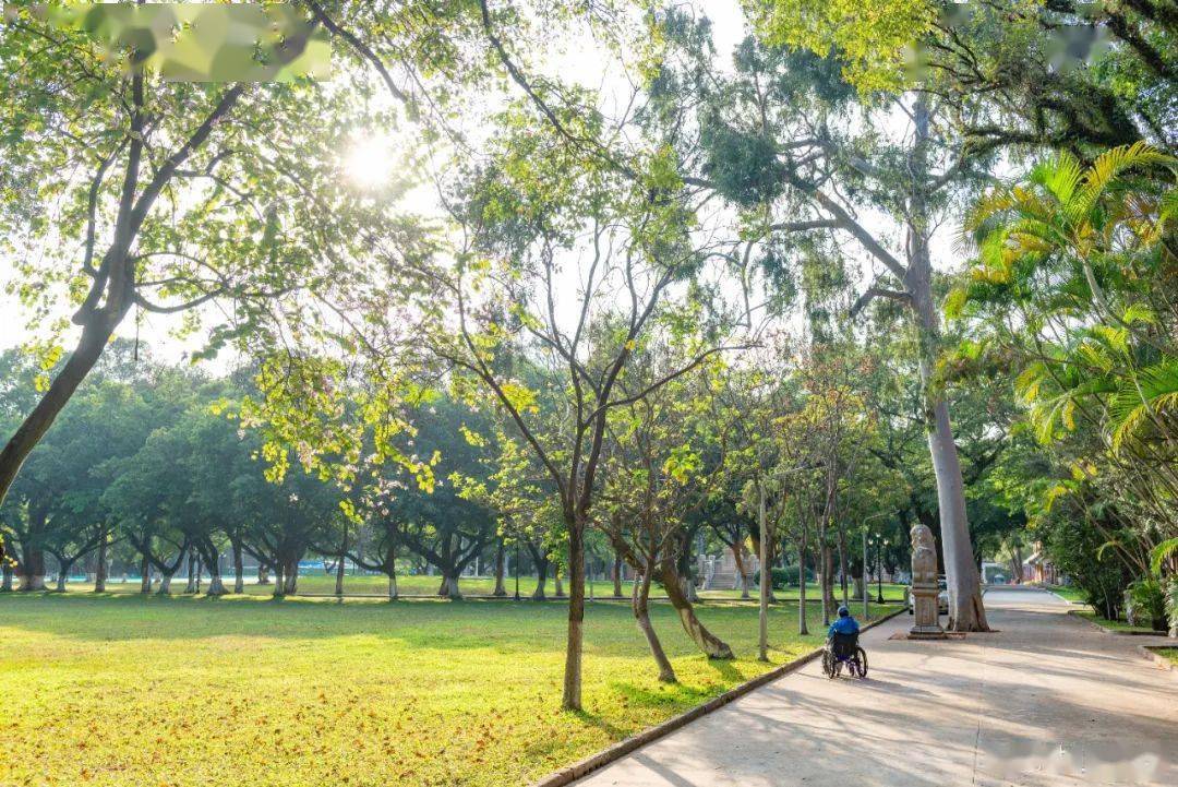 广东高校秋意正浓,诗意横生!_华农_秋色_叶子里