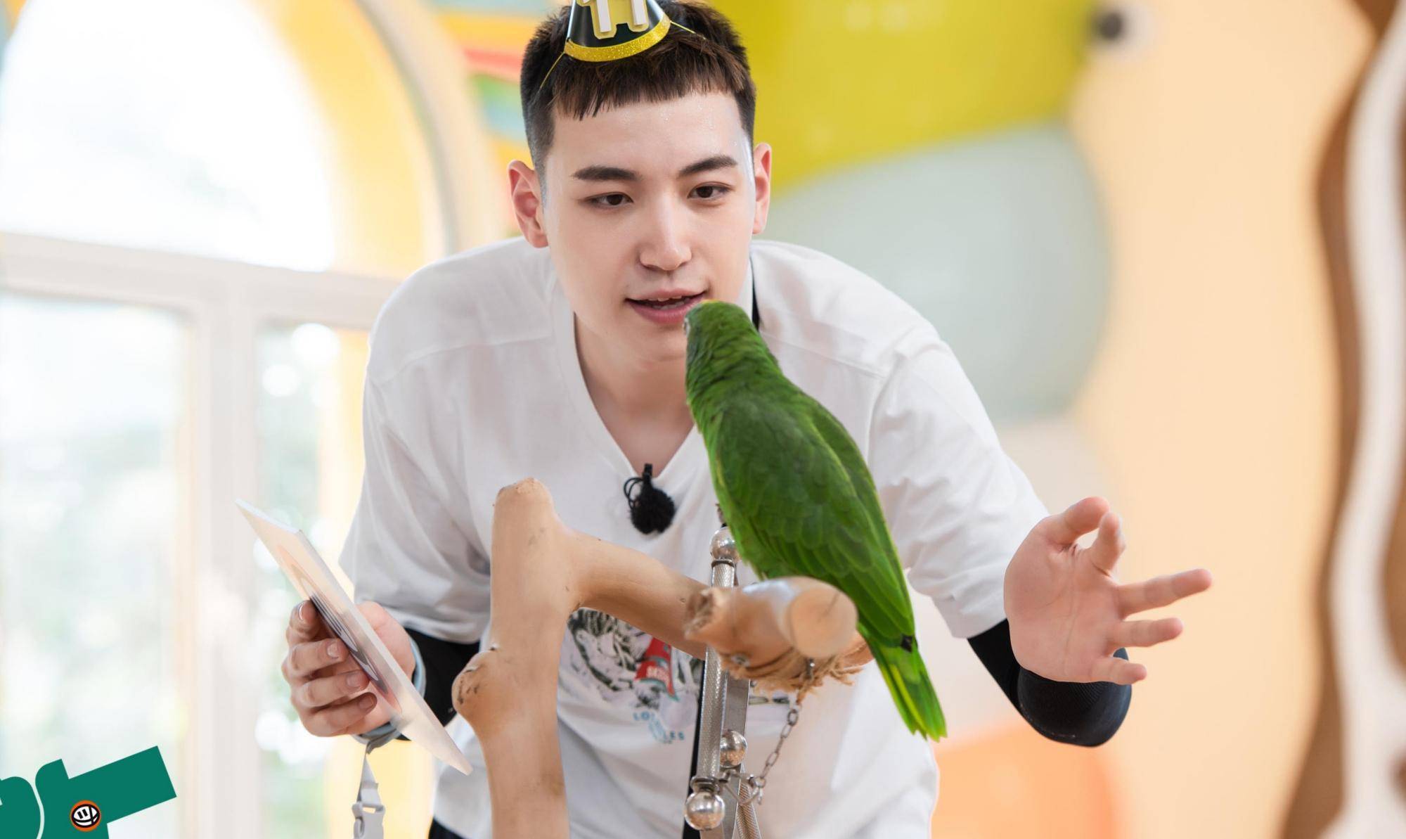 德云社少班主终于录制自家综艺,团综中除了祥林,还有这6对搭档_节目