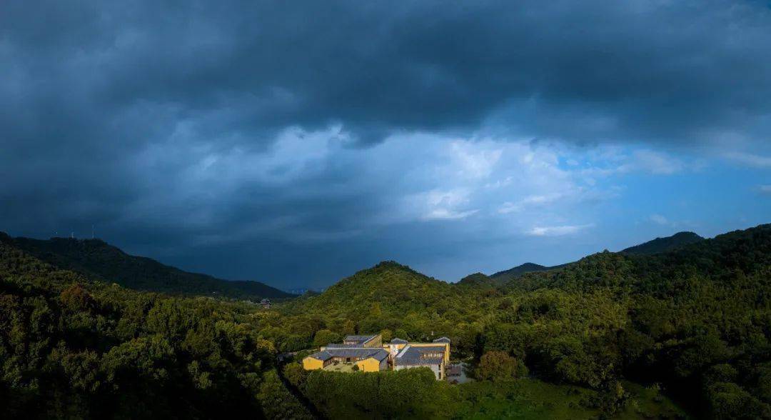 二十四节气|立冬——天水清相入 秋冬气始交_木叶_野鸡_万物