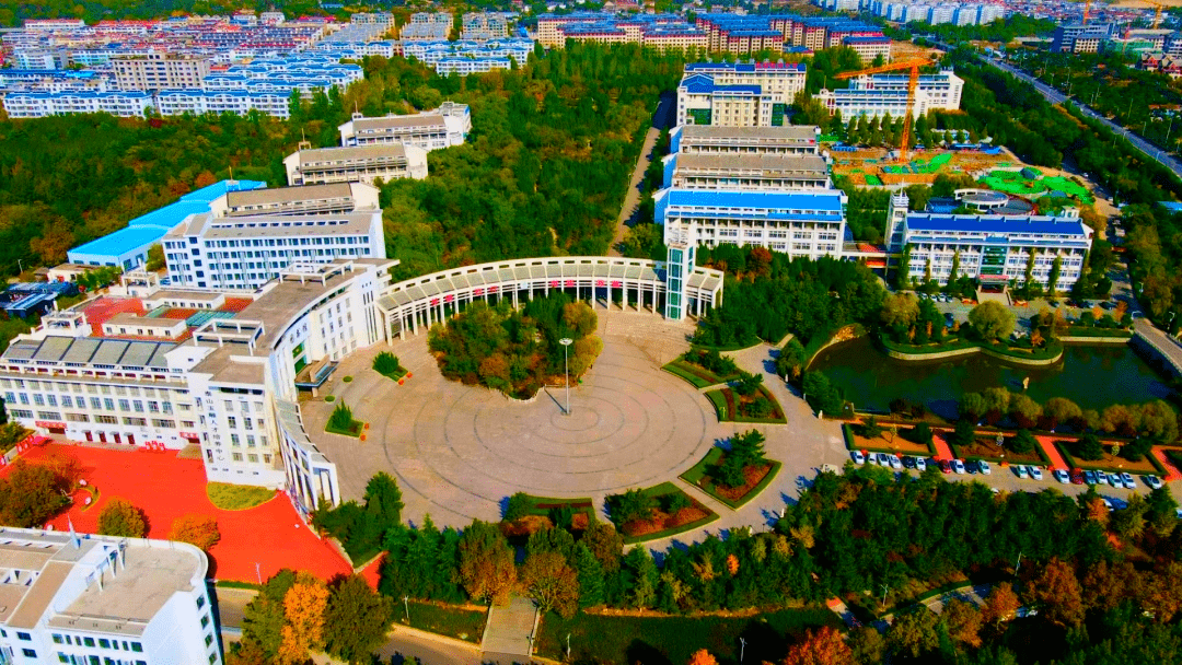 泰山职业技术学院的秋景大赏来喽!_落叶_阳光_天空