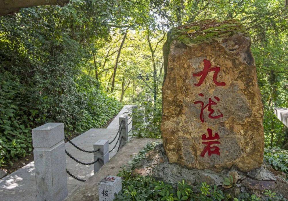 会发现来到"九龙岩"沿着步道拾级而上更是一座古火山也是国家地质公园