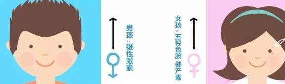 8张图告诉你，男孩女孩的大脑差别，养娃就该“男女有别”