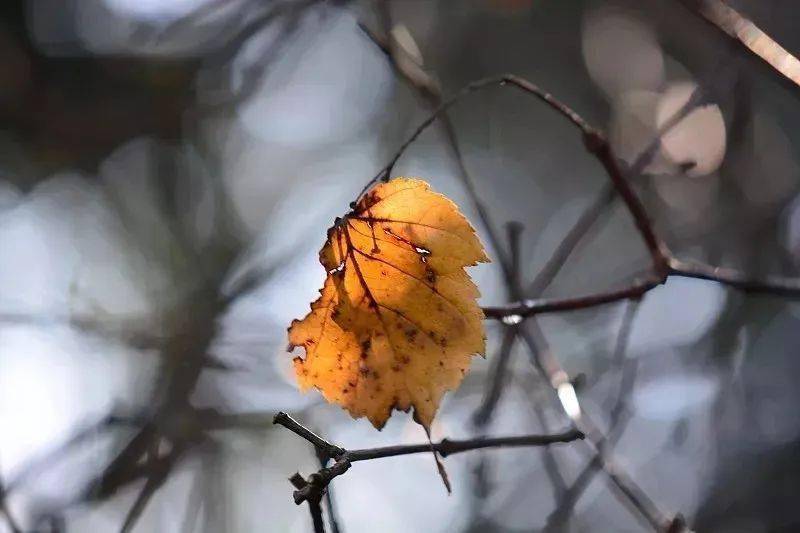 ​立冬｜天水清相入，秋冬气始交