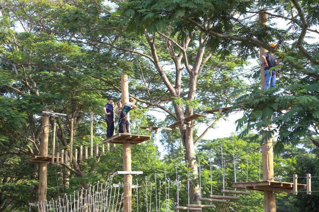 企业团建,成人军训,企业年会,会场会议室,场地出租_活动_野营地_深圳