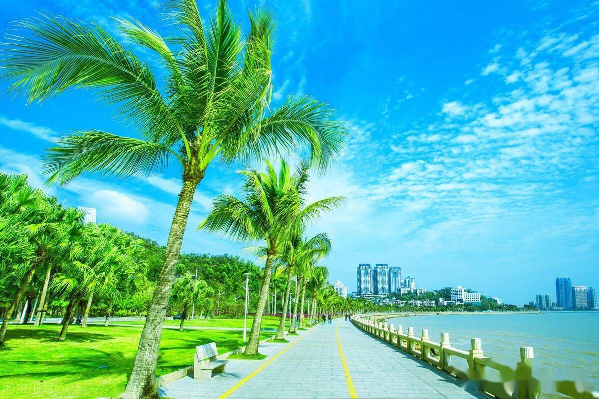 中国最宜居的海滨城市:比三亚便宜,比青岛舒适,海景美如画_珠海_教育_环境