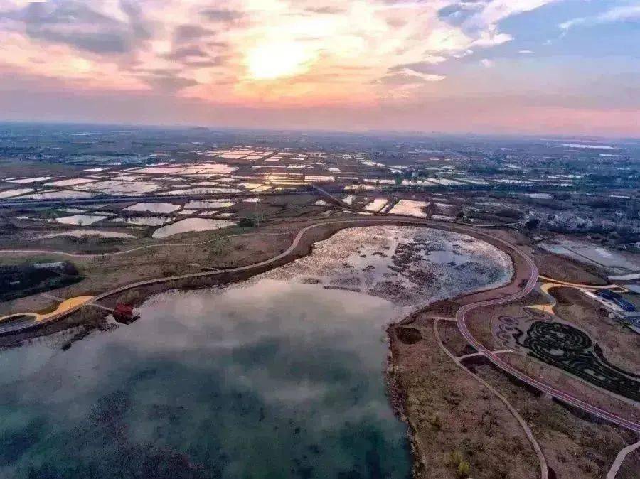 全市湿地生物多样性日益丰富生态环境质量持续好转蓝天碧水,鸟语花香