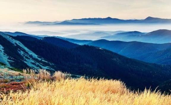 脑筋急转弯:秃子打伞,打一成语,这答案让人笑了一天,是真的!