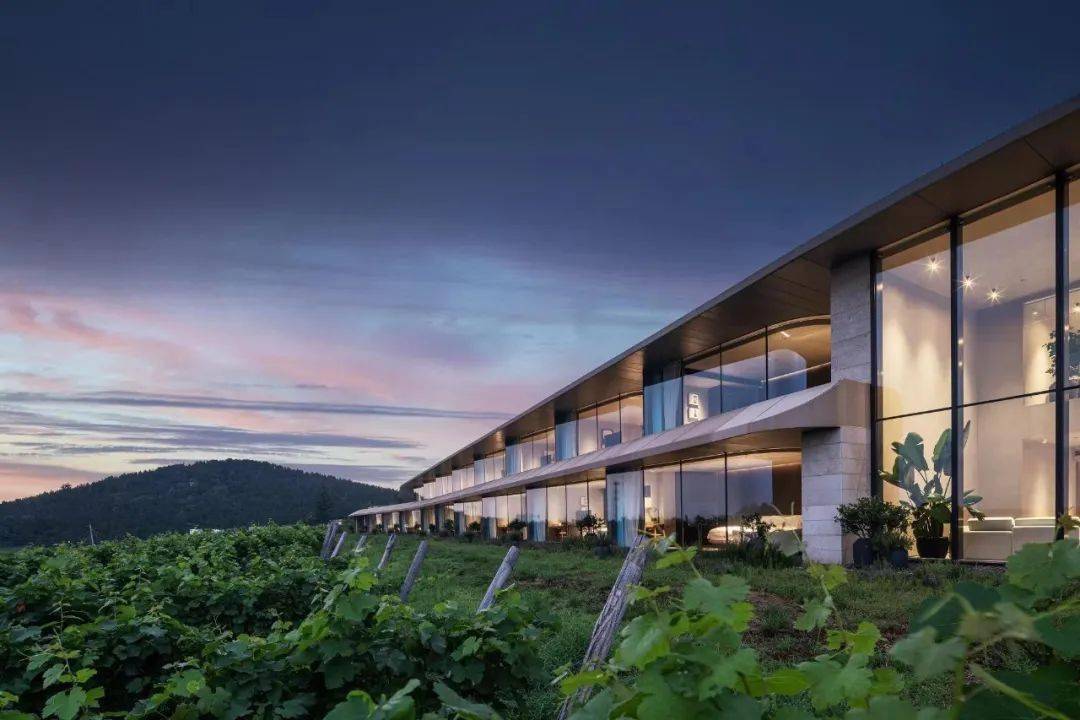 喜讯|蓬莱逃牛岭酒庄入选新一批山东省工业旅游示范基地_游客_葡萄园