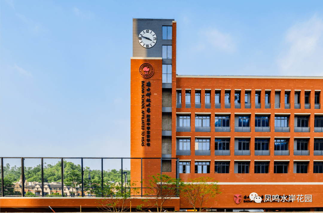 式升学新路径——价值超高的深圳学霸养成经验流出_南科大_孩子_教育