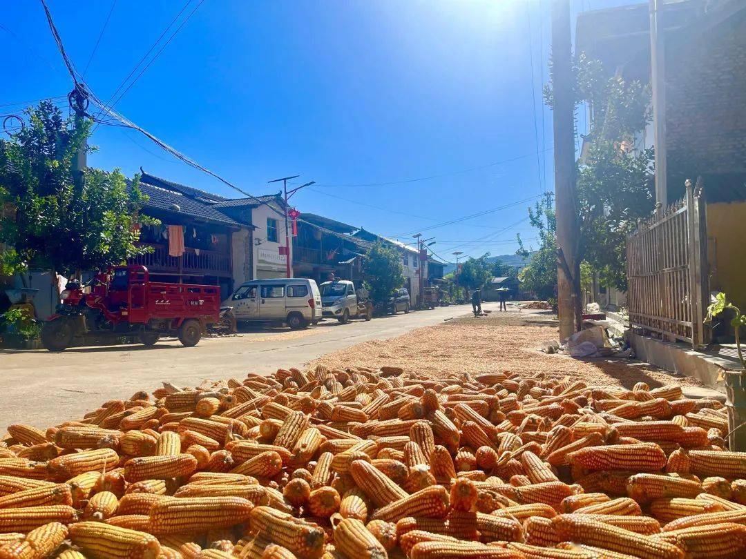 保山| 龙陵木城乡:堂前屋后晒丰收 七彩乡愁尽眼前_田园_村寨_色彩