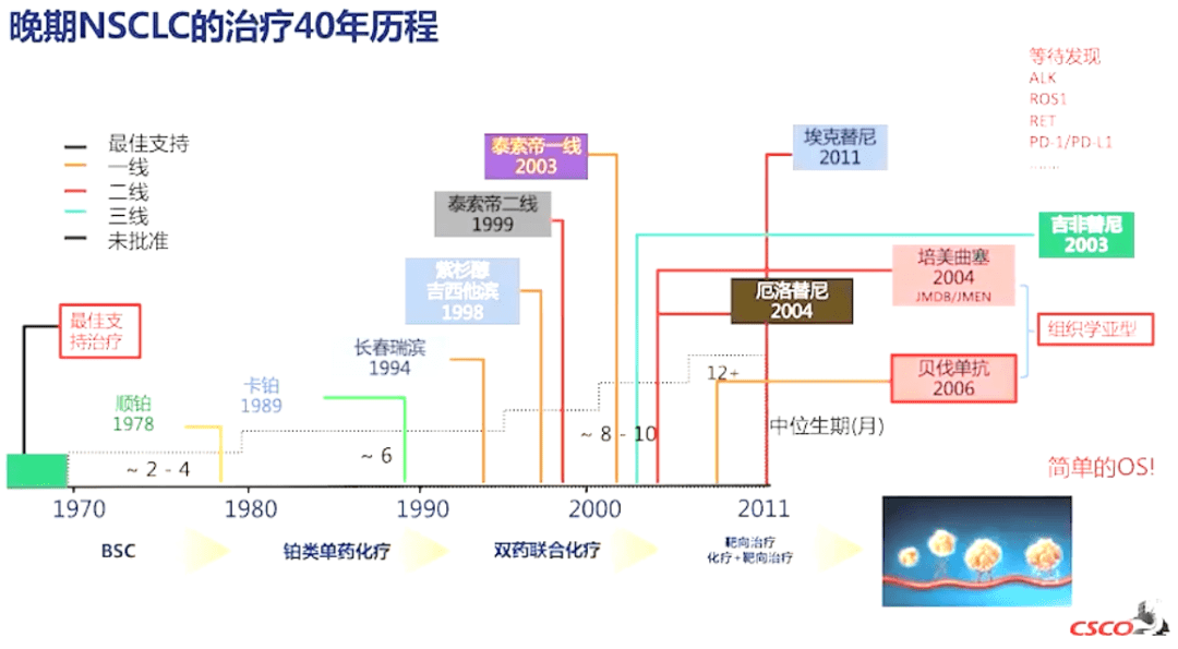 晚期NSCLC 抗血管生成治疗，你想知道的都在这里了丨CSCO 2022_手机搜狐网