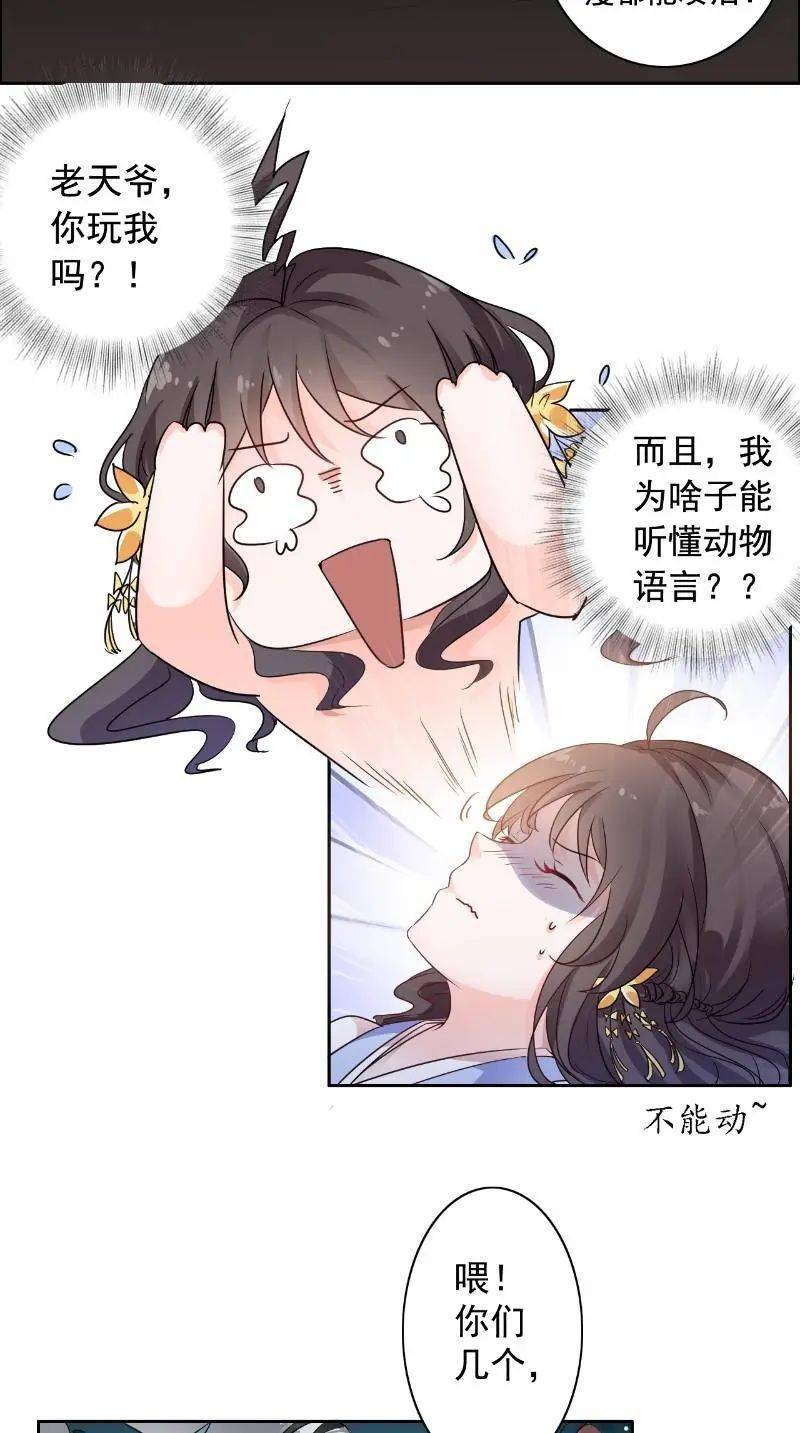 漫画资本丨王爷是只大脑斧