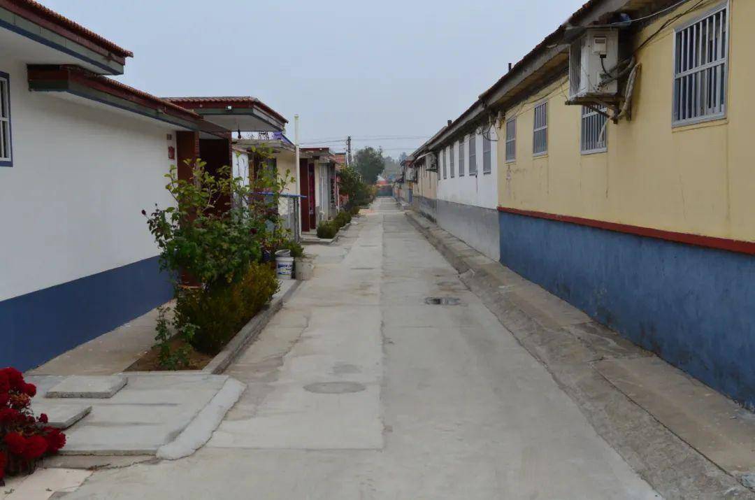 平度市新河镇以"志愿 "守护更美"水城花乡"_新村_网格_评比