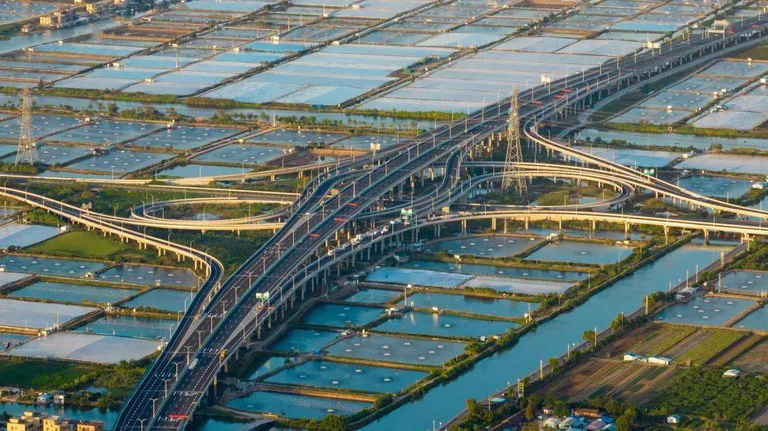香海大桥坠亡图片