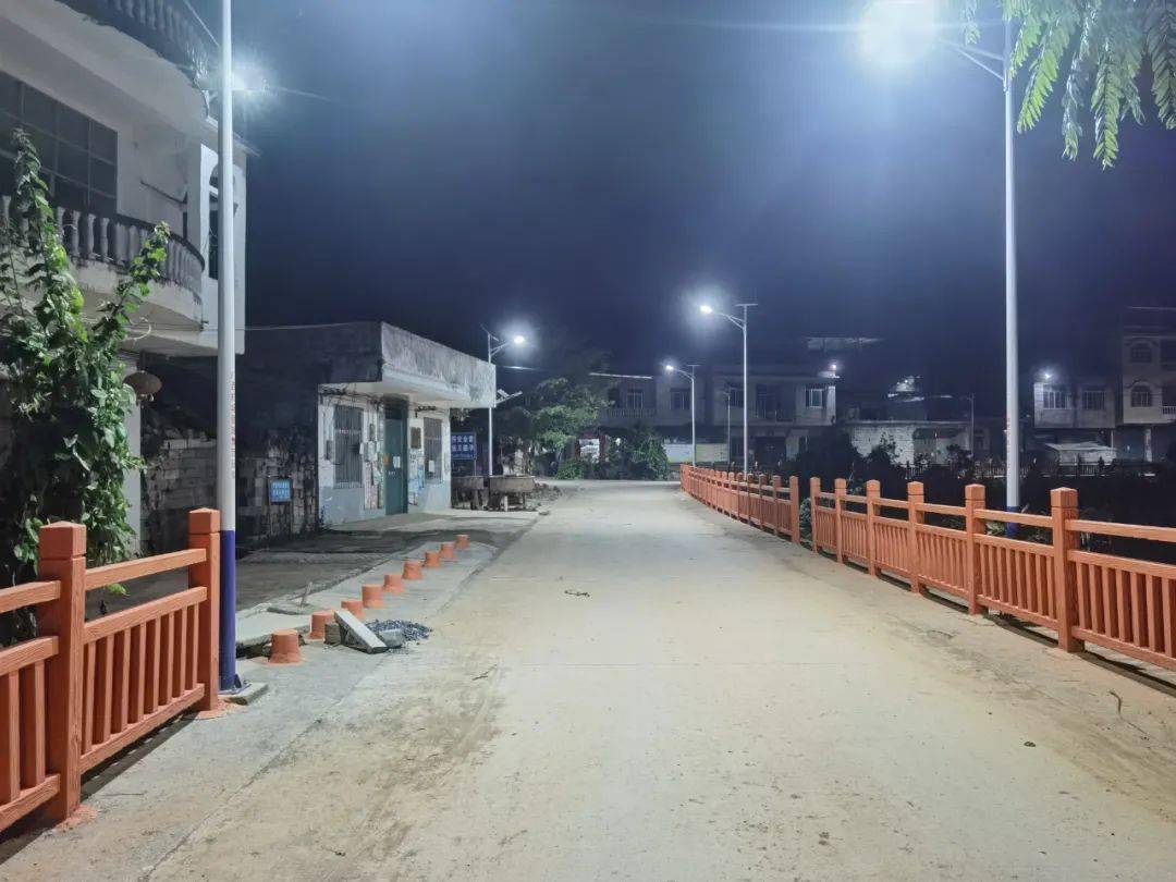 近日,笔者在田阳区巴别乡大录村大录屯看到,该屯的夜晚"冬日胜春朝"