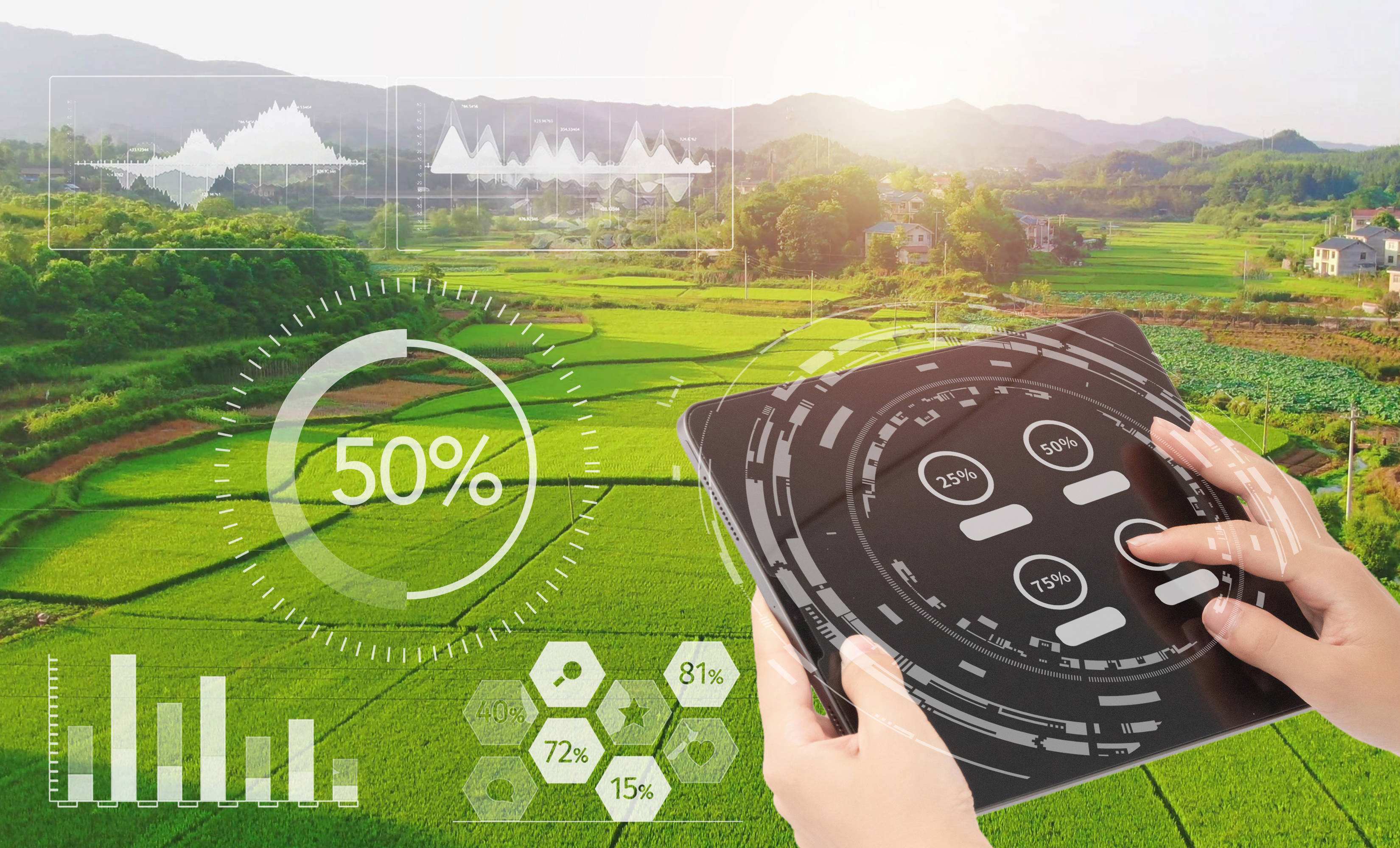 焦点|浙江丽水云和雪梨数字化创新转型典型案例分享_直播_产业