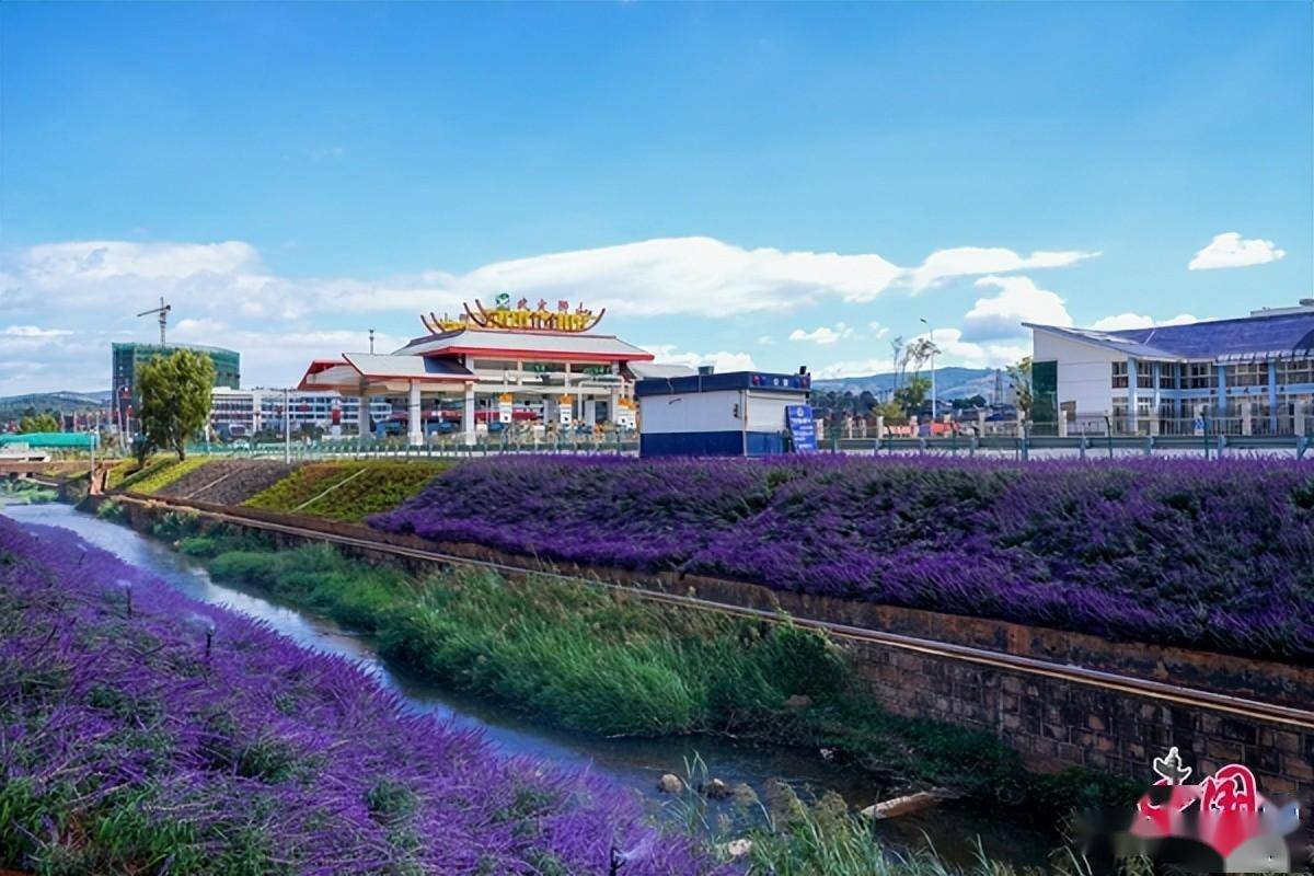 楚雄州武定县打造"城乡水路"四绿美擦亮生态新底色_绿化_建设_乡村