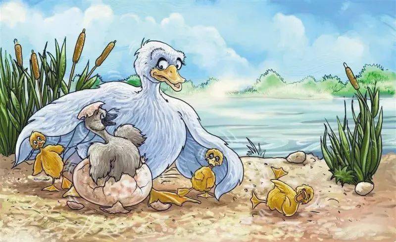 比如说,《丑小鸭》的逻辑在于一个天鹅蛋出现在鸭棚里,《灰姑娘》的