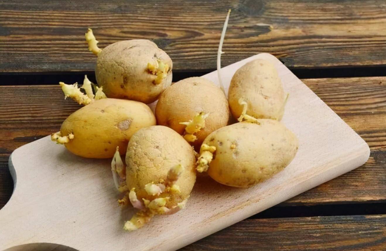 其次,马铃薯发芽后有毒吗?这个问题估计很多人都知道发芽的土豆有毒!