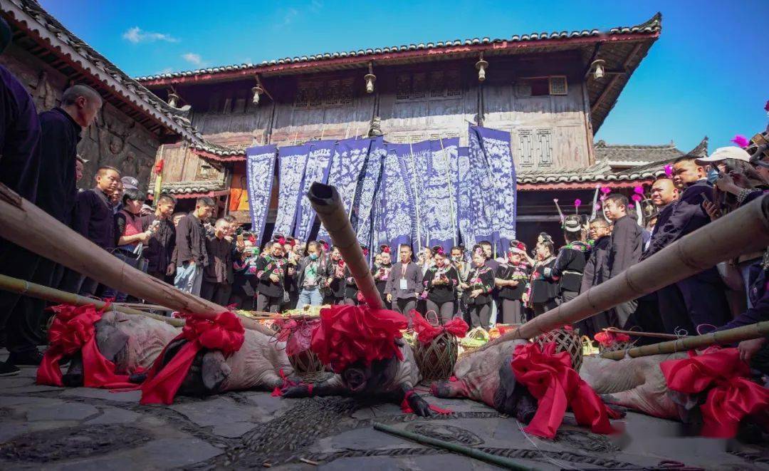"鼓藏节"是贵州省雷山县苗族同胞传统的祭祀节日,也叫"祭鼓节""鼓社祭