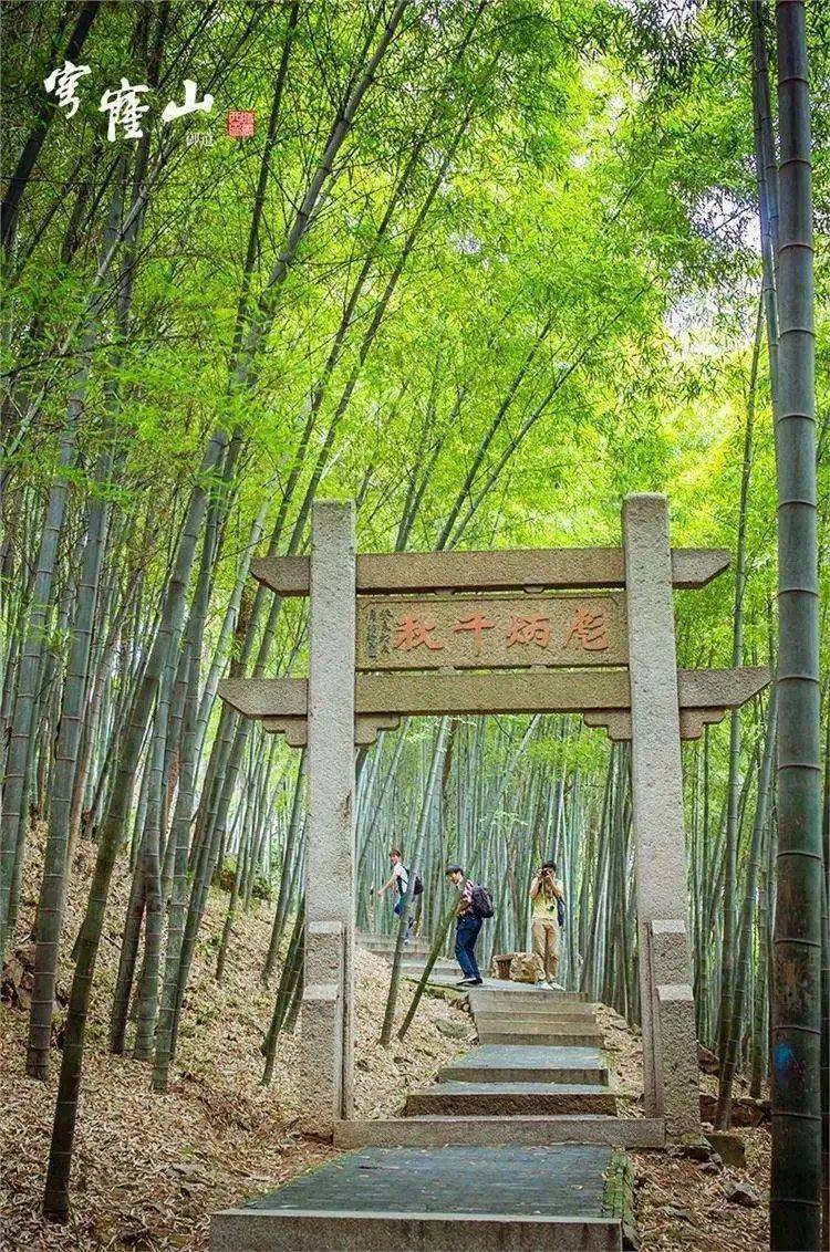 穹窿山登山徒步活动——【户外徒步】登顶苏州最第一峰,穹窿山恐龙线