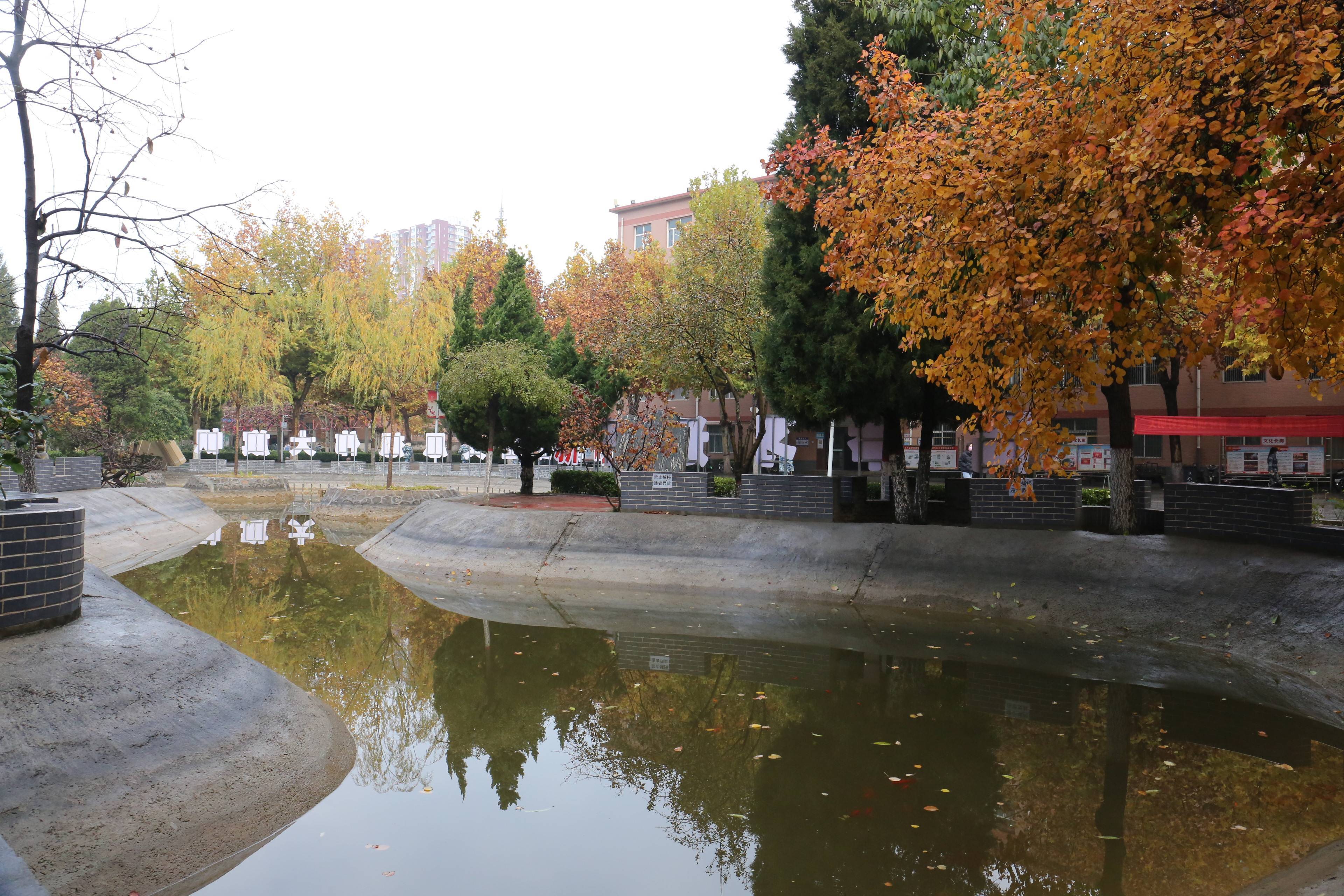 保定学院 风景图片