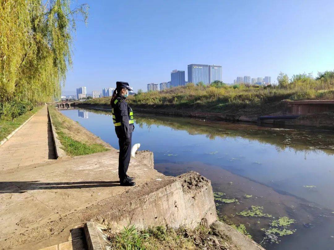 楚雄整治青龍河不文明垂釣,捕撈_河道_行為_來源