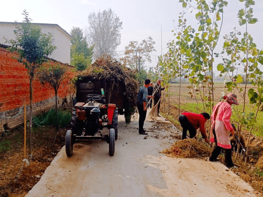 【文明村镇】确山县普会寺镇:多点发力促提升 清洁家园美环境_整治