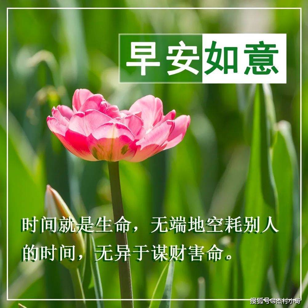 大家早上好,清晨问候大家早上好漂亮动态表情图片,早晨好漂亮图片祝福