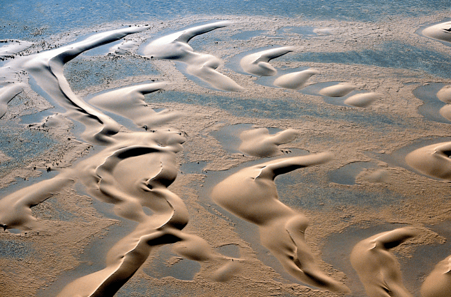 新月形沙丘风向图片