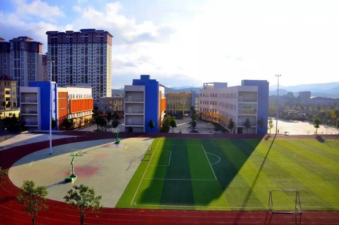 实现了清华北大录取的历史性突破;——引进时珍学院,贵阳明雅等学校