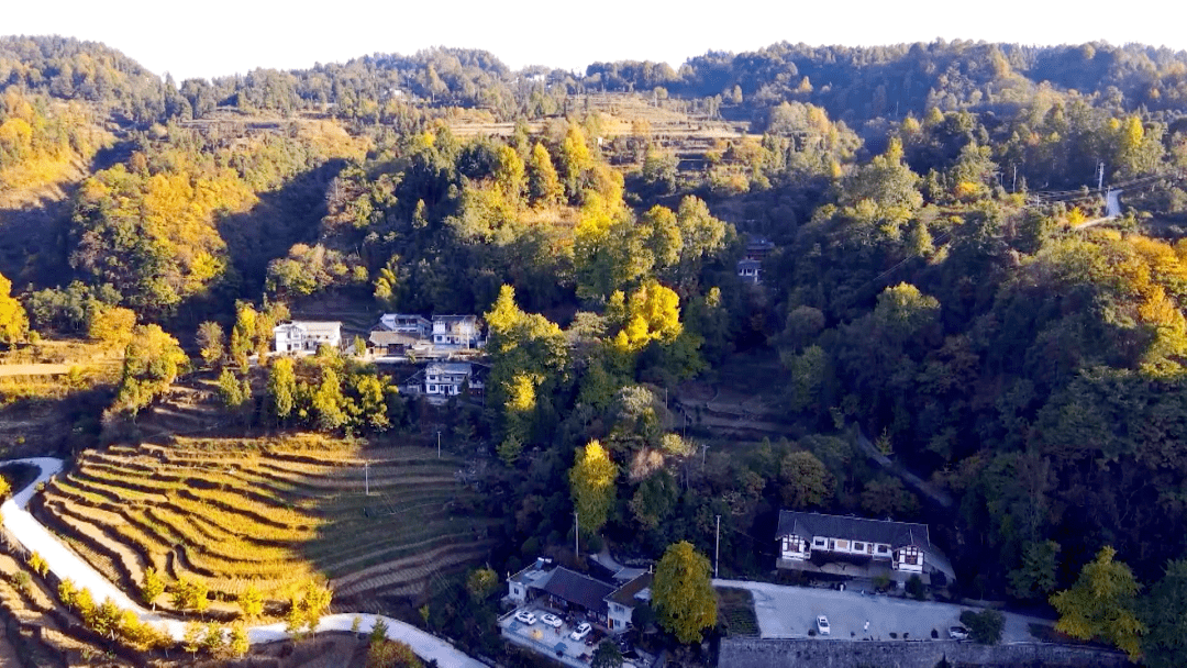 凤冈县"醉美乡村响水岩"全民视频打卡暨非遗商品展销活动在进化镇响水