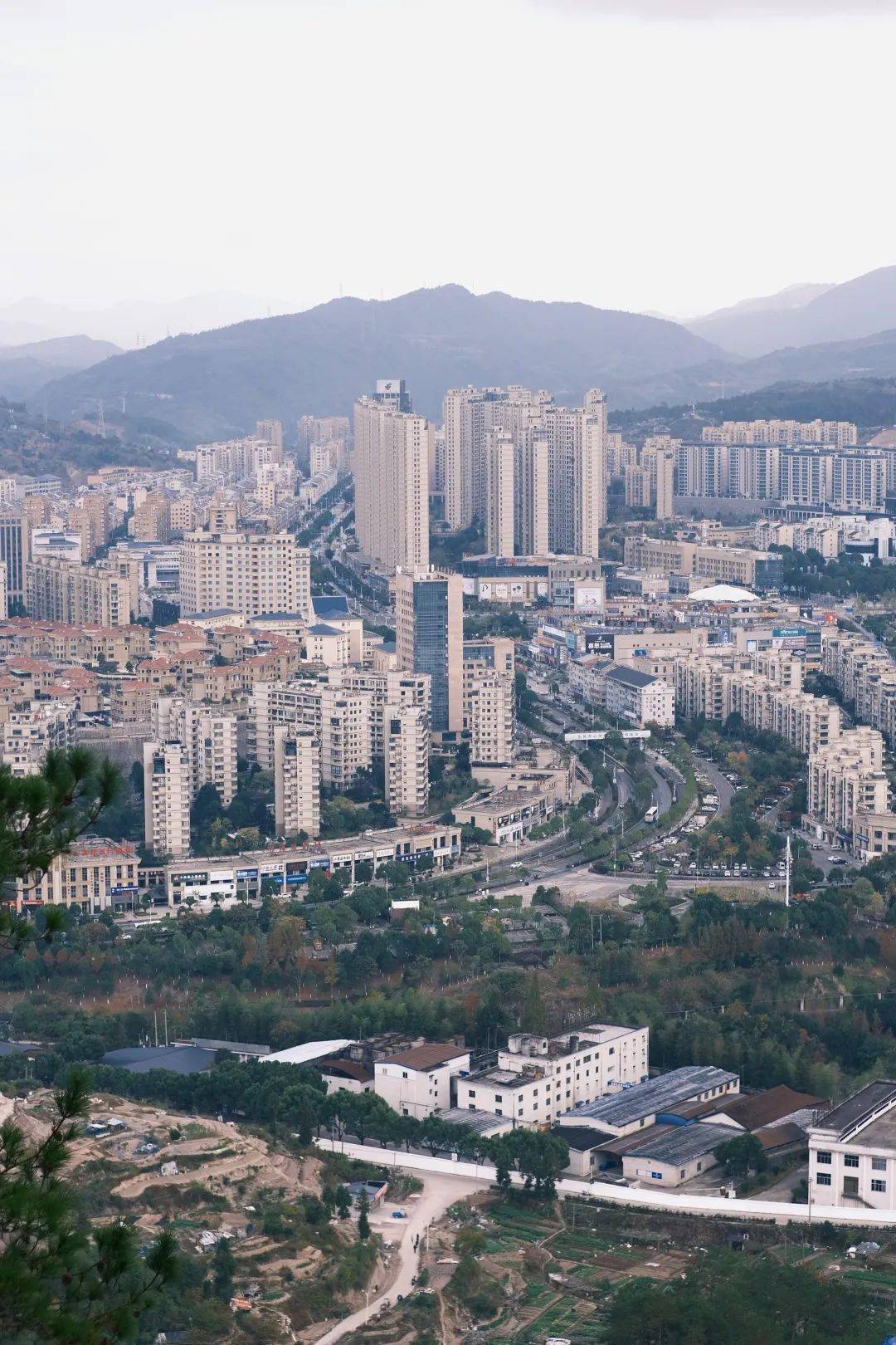 泰順羅陽賞秋地!太美了_南洋_城市_落葉