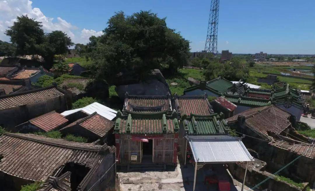 蔡东家_贩毒_蔡良火