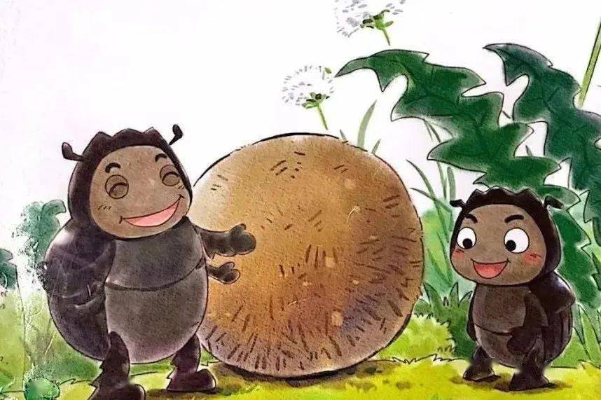 家庭教育 | 快乐的小蜣螂:如何面对排斥和孤立_海淀区_生活_信息