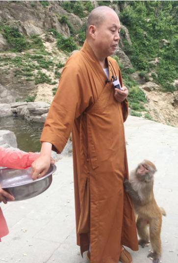 前往_白马寺_考察期